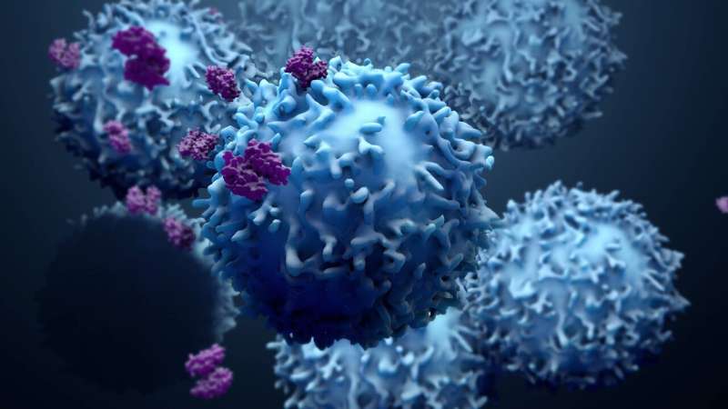 Immune cells may improve accuracy of predicting survival in colorectal cancer