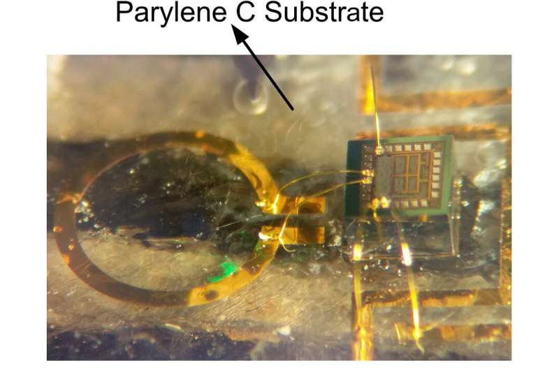 Implantable transmitter provides wireless option for biomedical devices