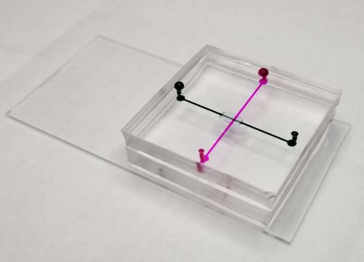 Improving cancer diagnostics through microfluidics