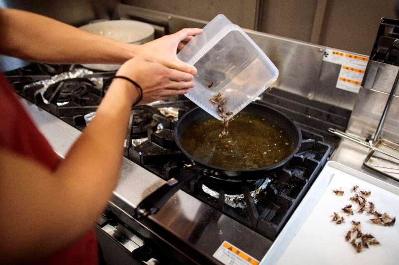 In a steamy Tokyo kitchen, a roasted scent wafts through the air as Yuto Shinohara prepares soup stock for ramen, derived not fr