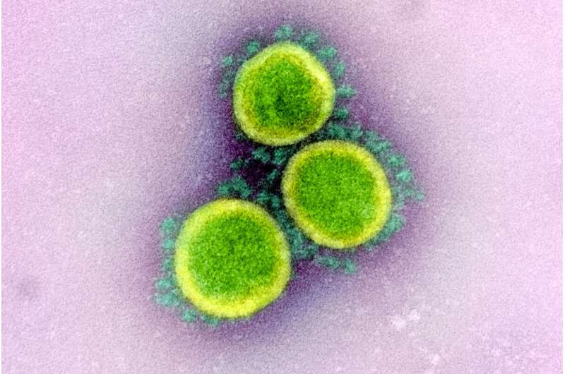 In creating a coronavirus vaccine, researchers prepare for future