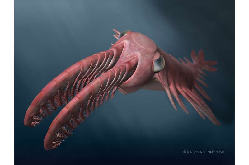 Incredible vision in ancient marine creatures drove an evolutionary arms race