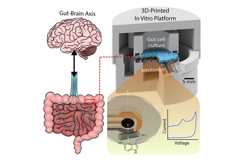 Ingestible capsule that could help demystify the gut-brain axis