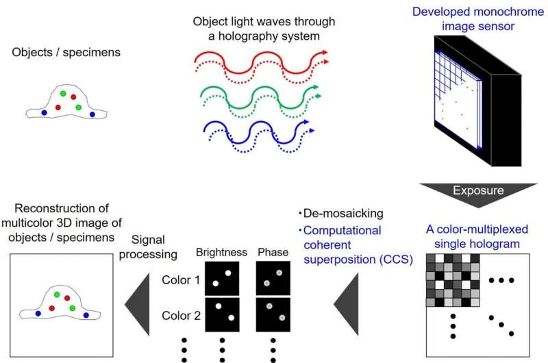 Instantaneous color holography system for sensing fluorescence and white light