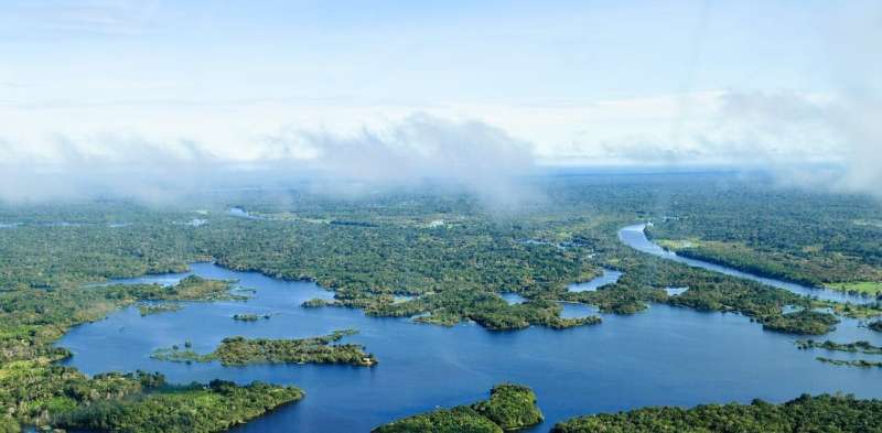 In the Amazon, forest degradation is outpacing full deforestation