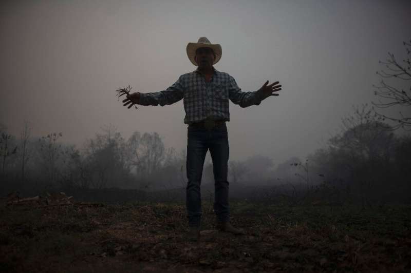 In this file picture taken on September 13, 2020 a man gestures in a burnt area of the Pantanal in Brazil, part of a large area 