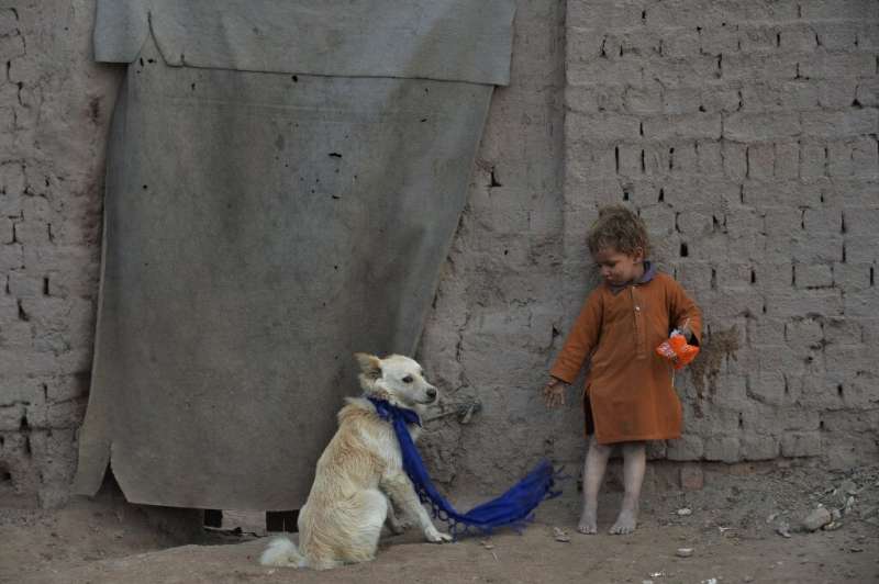 In wealth and in poverty: dogs and their human companions live together around the world, even outside this temporary home on th