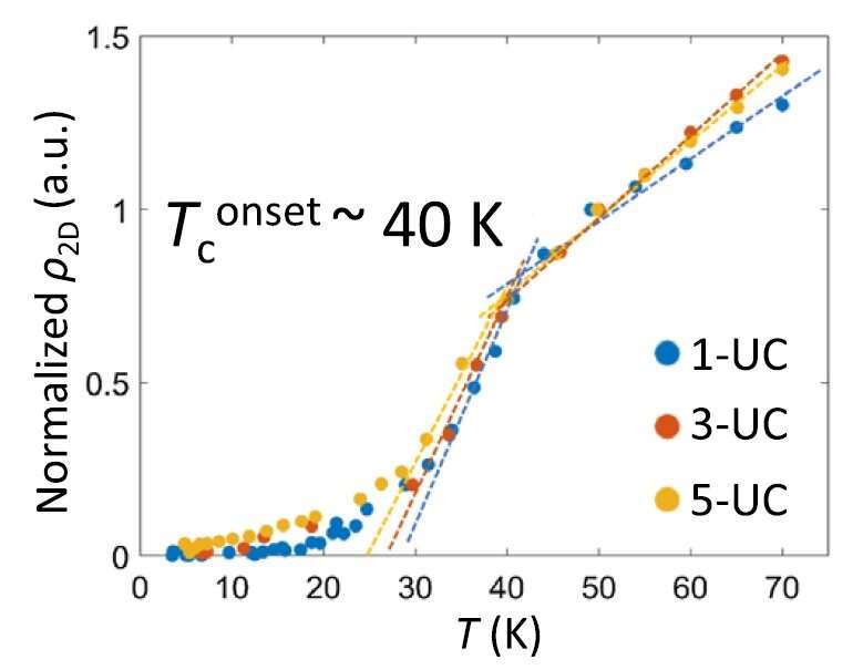 'Ironing' out the differences: Understanding superconductivity in ultrathin FeSe