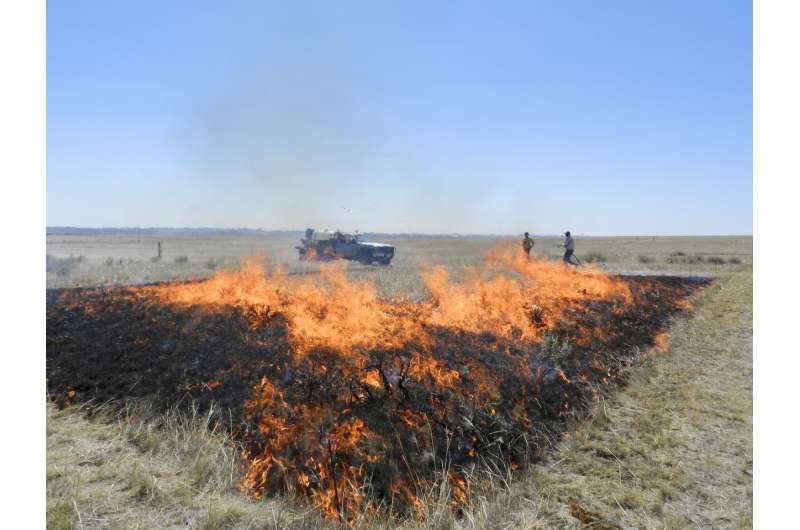Is mowing or close grazing of rangelands as beneficial as prescribed burning?