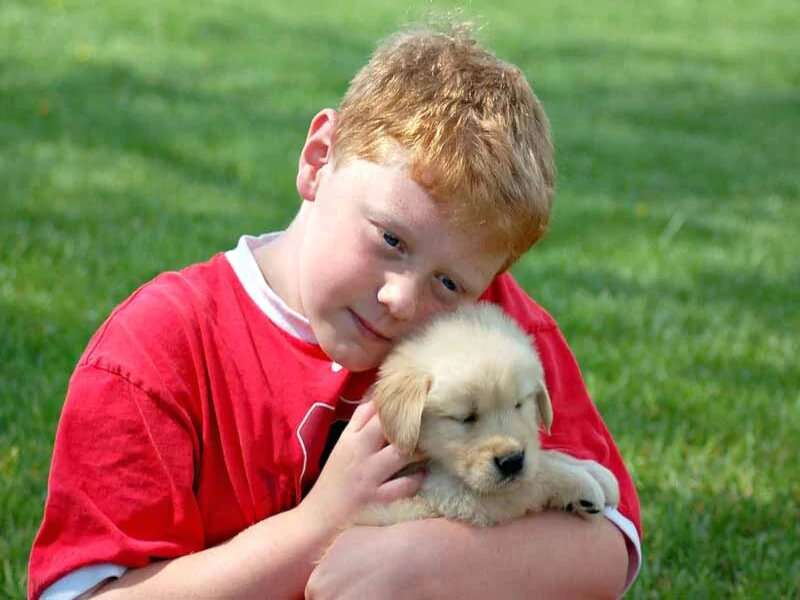 研究发现，孩子们经常会因为心爱宠物的死亡而受到沉重打击