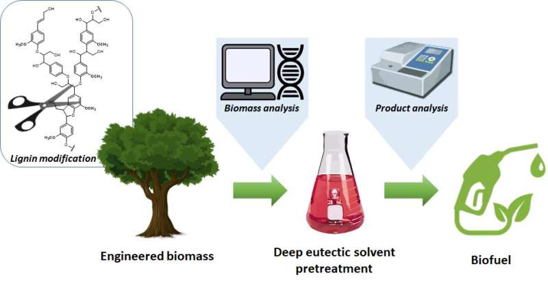 KIST develops biofuel production process in cooperation with North American researchers