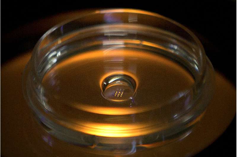 Lab tests show risks of using CRISPR gene editing on embryos