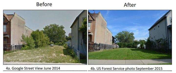 Large Lot Program shows the power of private land stewardship in addressing urban vacancy