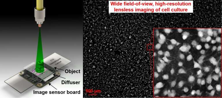 Lensless on-chip microscopy platform shows slides in full view