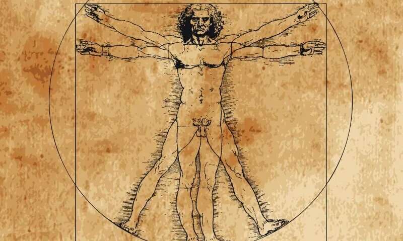 Leonardo's 'Vitruvian man' ideal isn't far off modern measures