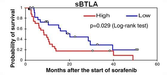 Levels of sBTLA proteins as potential marker of overall survival of patients with liver cancer