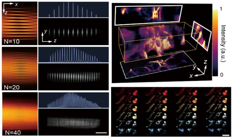 Light-sheet fluorescence imaging goes more parallelized