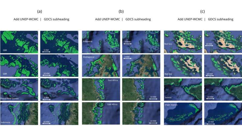 Location and extent of coral reefs mapped worldwide using advanced AI