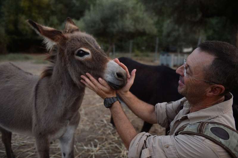 Luis Bejarano, who crossed The Alps with a donkey and a llama, says donkeys interact better with people than horses