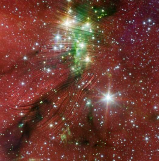 Magnetized gas flows feed a young star cluster