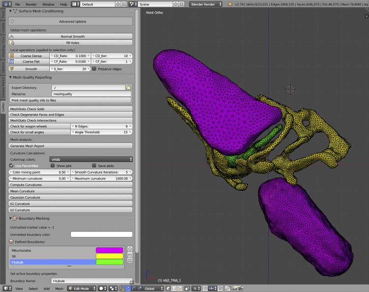Making cell modeling more realistic