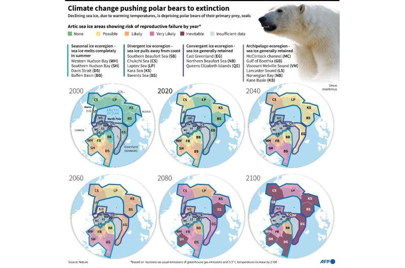Maps of polar bear populations showing the progression towards extinction by the end of the century