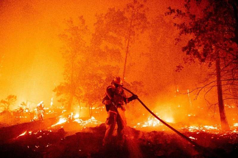 Massive wildfires that devastated vast areas in Australia, Siberia, the US West Coast and South America in 2020 have been tied t