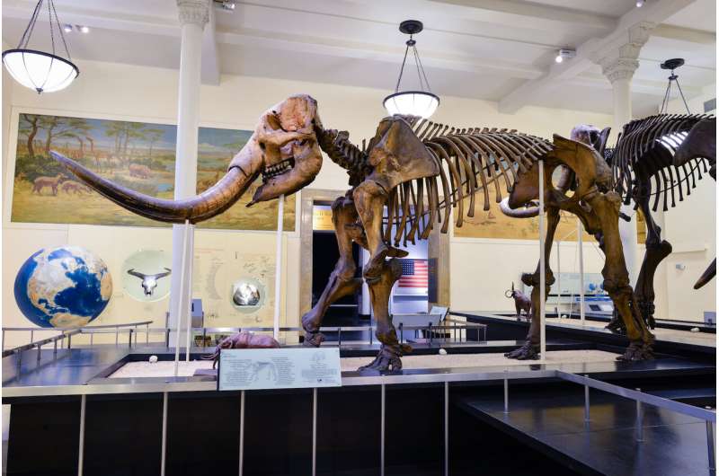 Mastodons took frequent trips north when climate changed