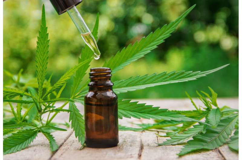 Medicinal cannabis may reduce behavioral problems in kids with intellectual disabilities