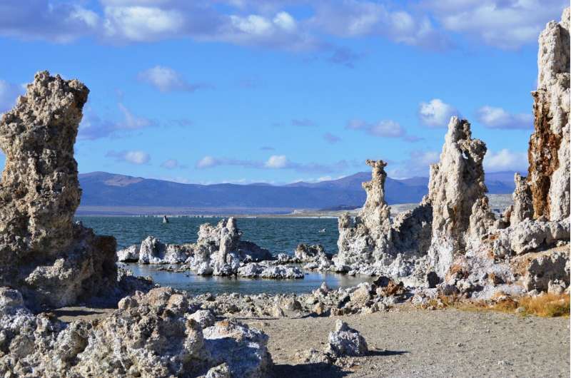 Microbes endure a variety of inhospitable conditions in California’s Mono Lake