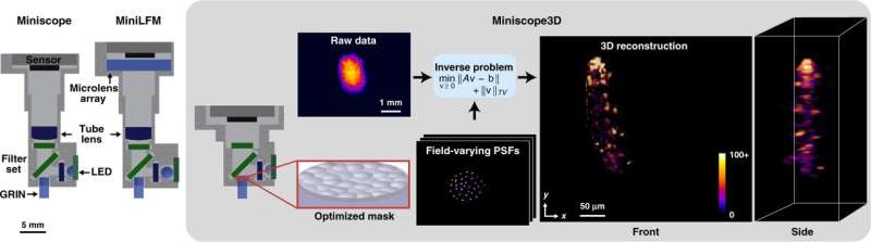 Miniscope3D – A single-shot miniature three-dimensional fluorescence microscope