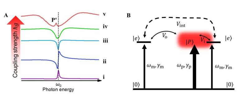 Molecule-plasmon coupling strength tunes surface-enhanced infrared absorption spectral lineshapes