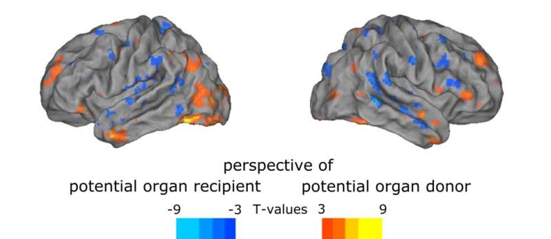 Moral reflection can be seen in brain activity and eye movements