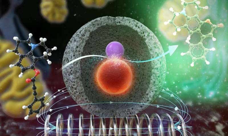 Nanocatalysts that remotely control chemical reactions inside living cells
