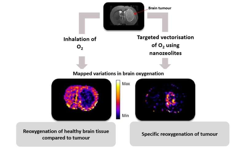Nanocrystals to deliver oxygen to brain tumours
