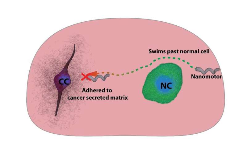 Nanomotors as probes to sense cancer environment