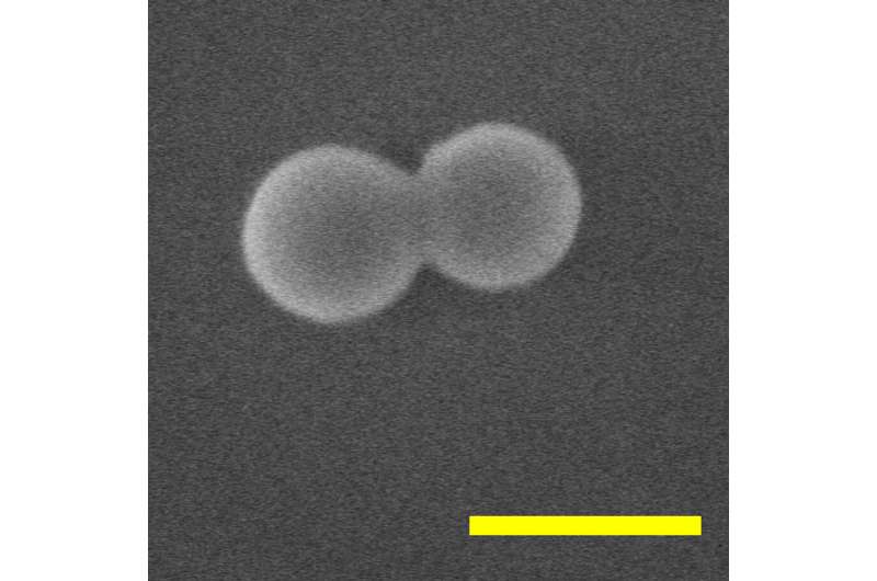 Nanoparticle levitated by light rotates at 300 billion rpm