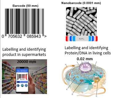 Nanoscopic barcodes set a new science limit