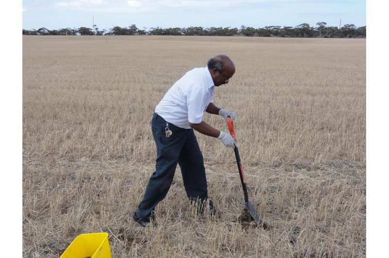 Native bushland's fertility secret