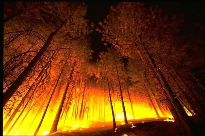 Network fuels burning desire to understand wildfire