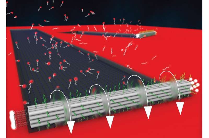 New DNA origami motor breaks speed record for nano machines