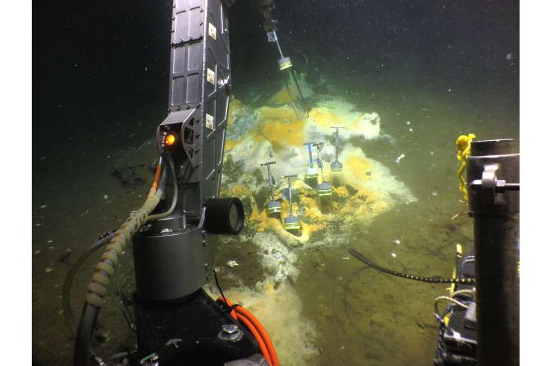 New ethane-munching microbes discovered at hot vents