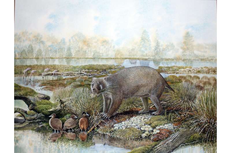 New extinct family of giant wombat relatives discovered in Australian desert