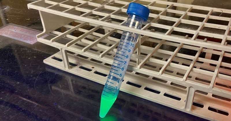 New fluorescent biosensor detects glyphosate herbicide in soil, water samples