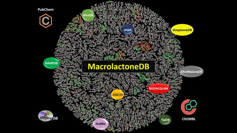 New macrolactone database could aid drug discovery, research