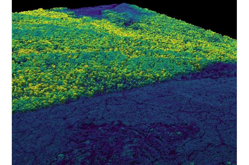 New maps of Malaysian Borneo reveal worsening carbon losses along forest edges