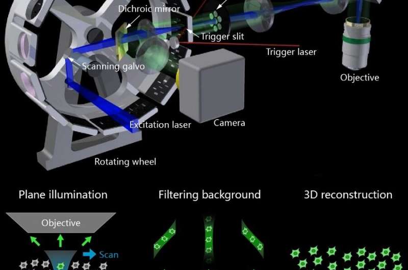 New method captures neural and vascular dynamics at high spatiotemporal resolution deep in brain