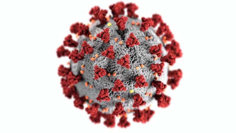 New tool outsmarts COVID-19 virus to help vaccine development