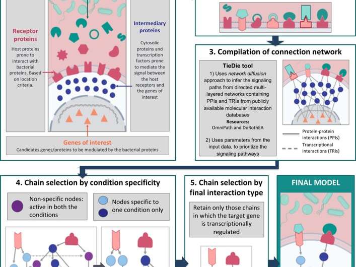 New tool to translate communications between the microbiome and the body
