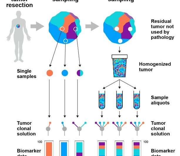 New tumour sampling method significantly improves genetic testing for cancer treatment